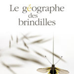 Le géographe des brindilles