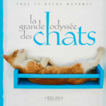 La Grande Odyssée des Chats